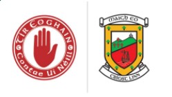 Information for Supporters attending ALLIANZ LEAGUE  Tyrone v Dublin