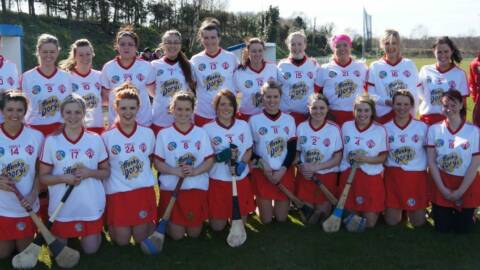 Tyrone Camogs into National League Final