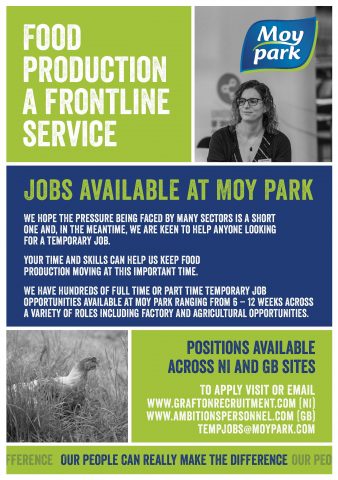 Temporary Employment with Moy Park