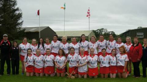 Dungannon camogs breeze in Ulster semi final