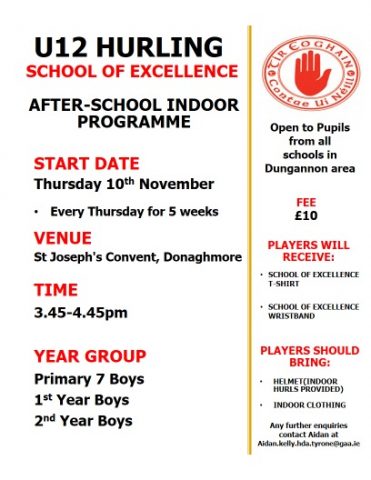 donaghmore-hurling
