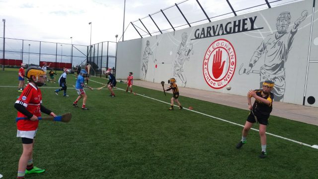 Tyrone Under 12 Hurling School of Excellence