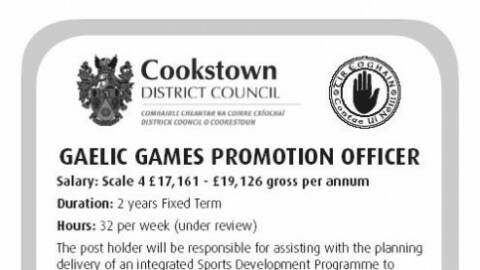 Gaelic Games Promotion Job Advert