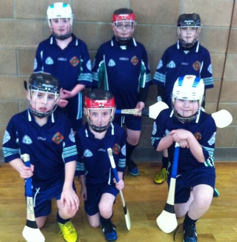 Cumann na mBunscol Indoor Hurling and Camogie in Omagh