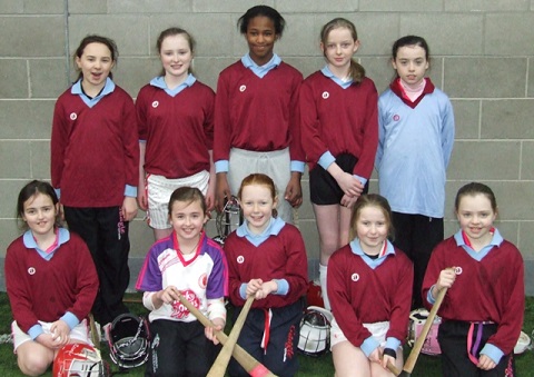 Cumann na mBunscol Indoor Hurling and Camogie in Dungannon