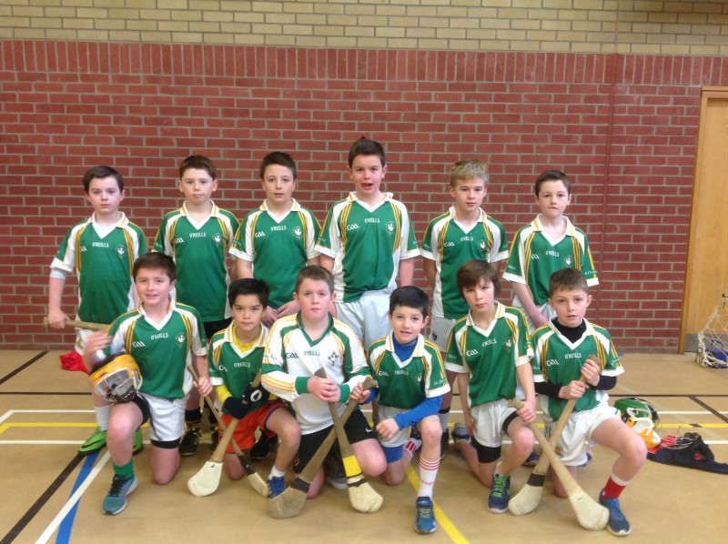 St. Colmcille's P.S. Carrickmore Hurlers
