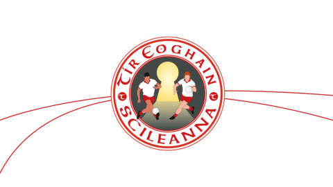 Scileanna Coaching Programme